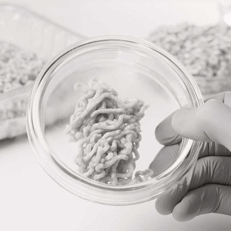 Fungi protein: Protein grown from fungus, typically for use in meat substitutes.