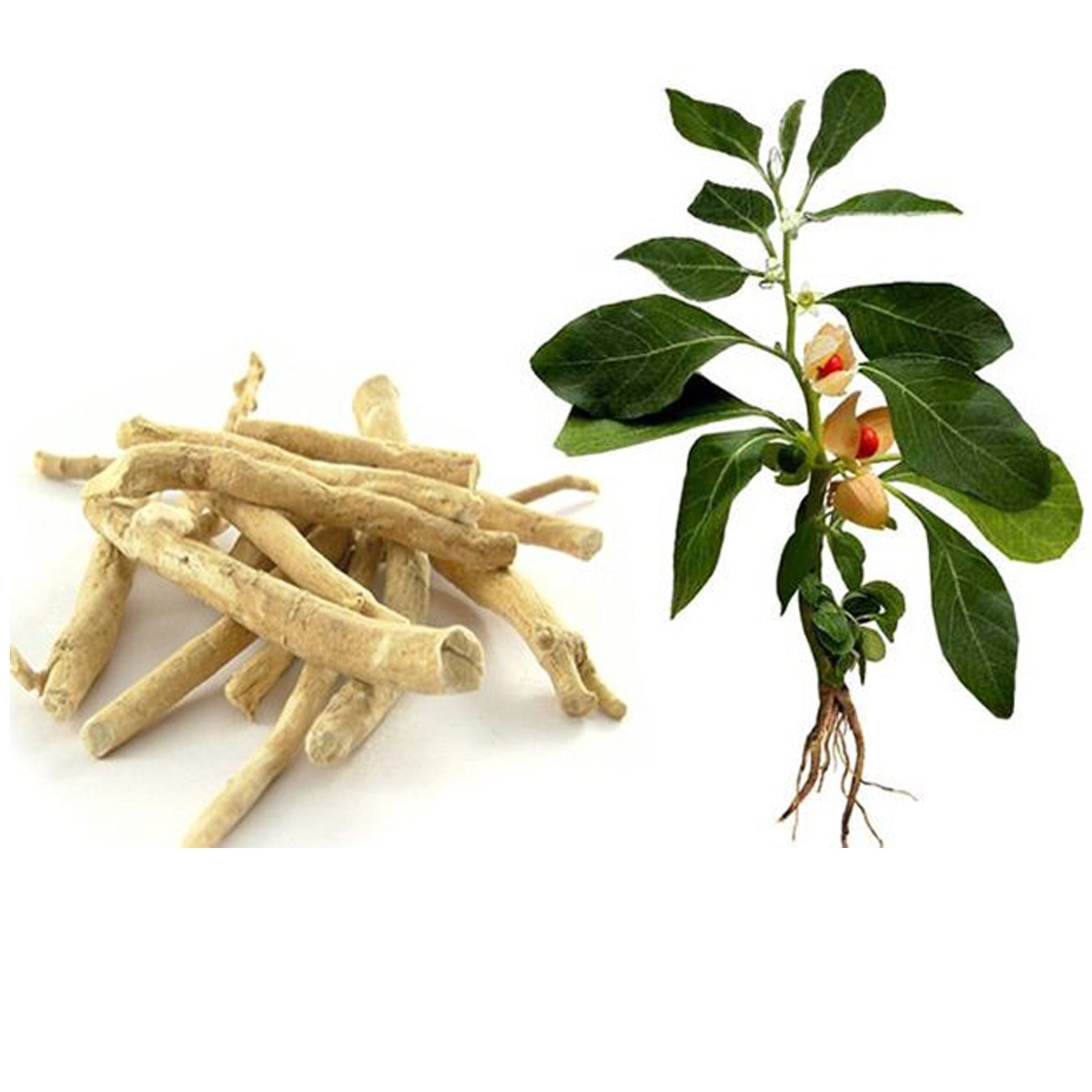 Ashwagandha gummies: Plant-based food product containing medicinal herbs designed for stress management.