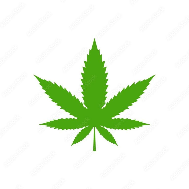 Cannabis shop: Marijuana store. Premises selling the drug for medical or recreational use may have to be licensed, depending on local and national laws.