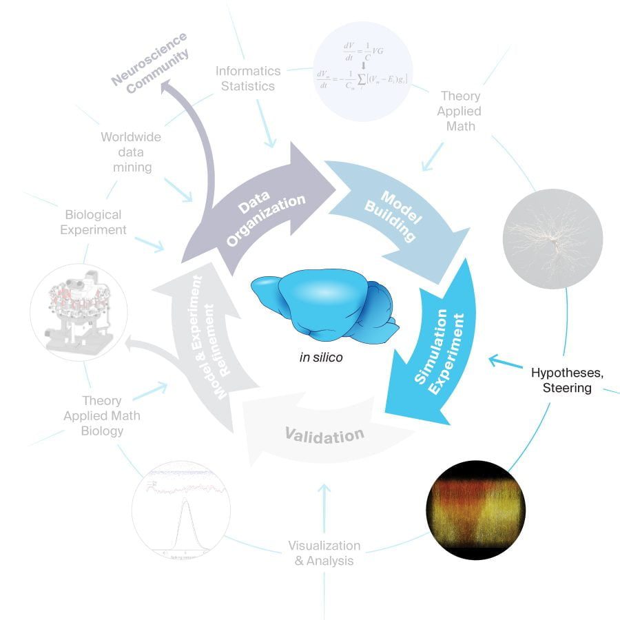 Deep genomics: Artificial intelligence company that is centered around RNA biology and provides complex resolutions for drug development.