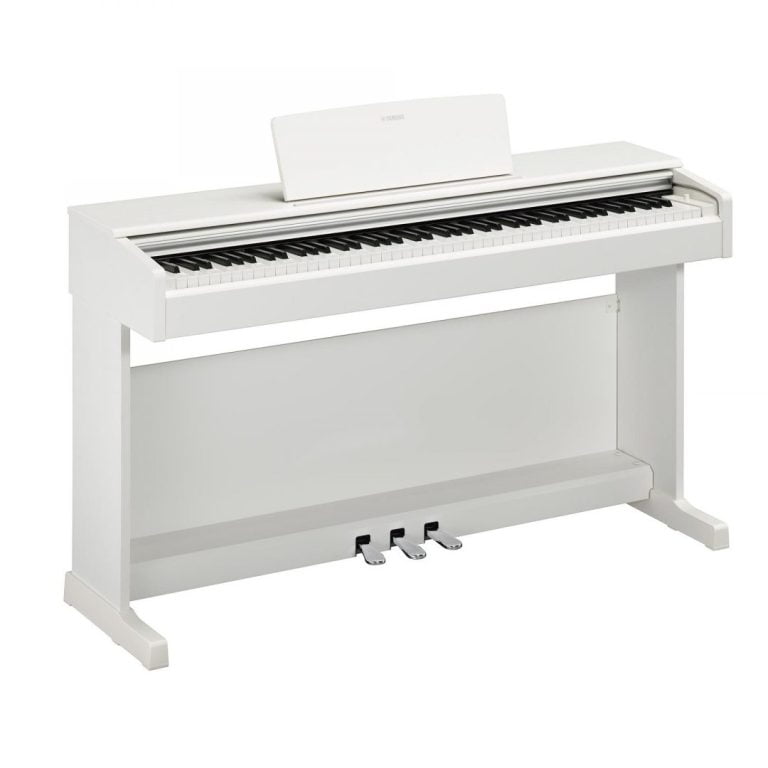 rockjam: Entry-level electronic musical instruments brand. It is best-known for its piano keyboards.