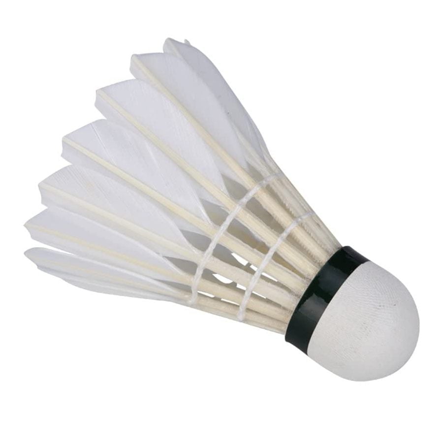 Shuttlecock: The cone-like equipment that is hit from one player to another in badminton.