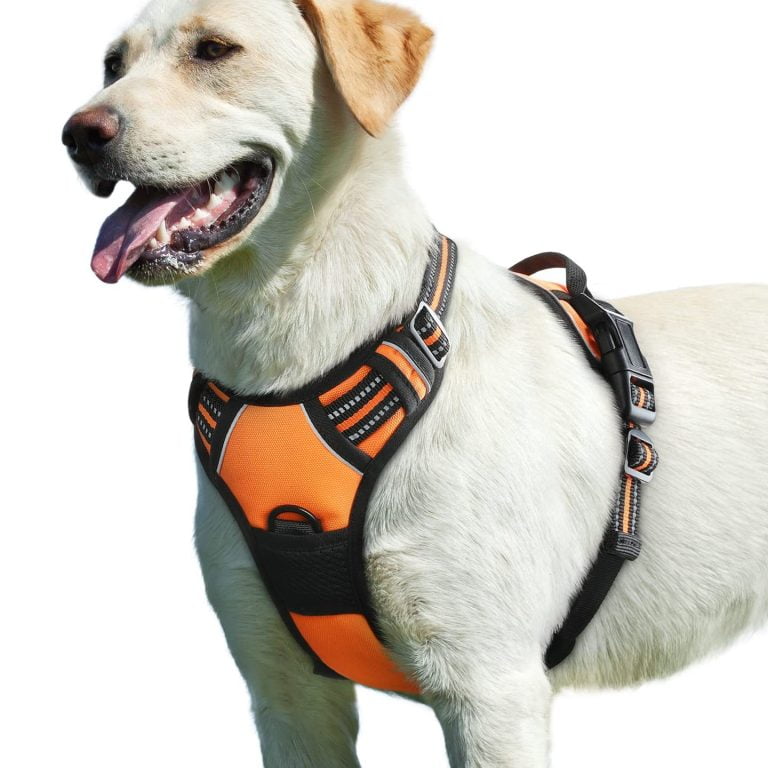 Pet harness: A product that fits around the body of an animal in order for its owner to walk it more securely with a leash.