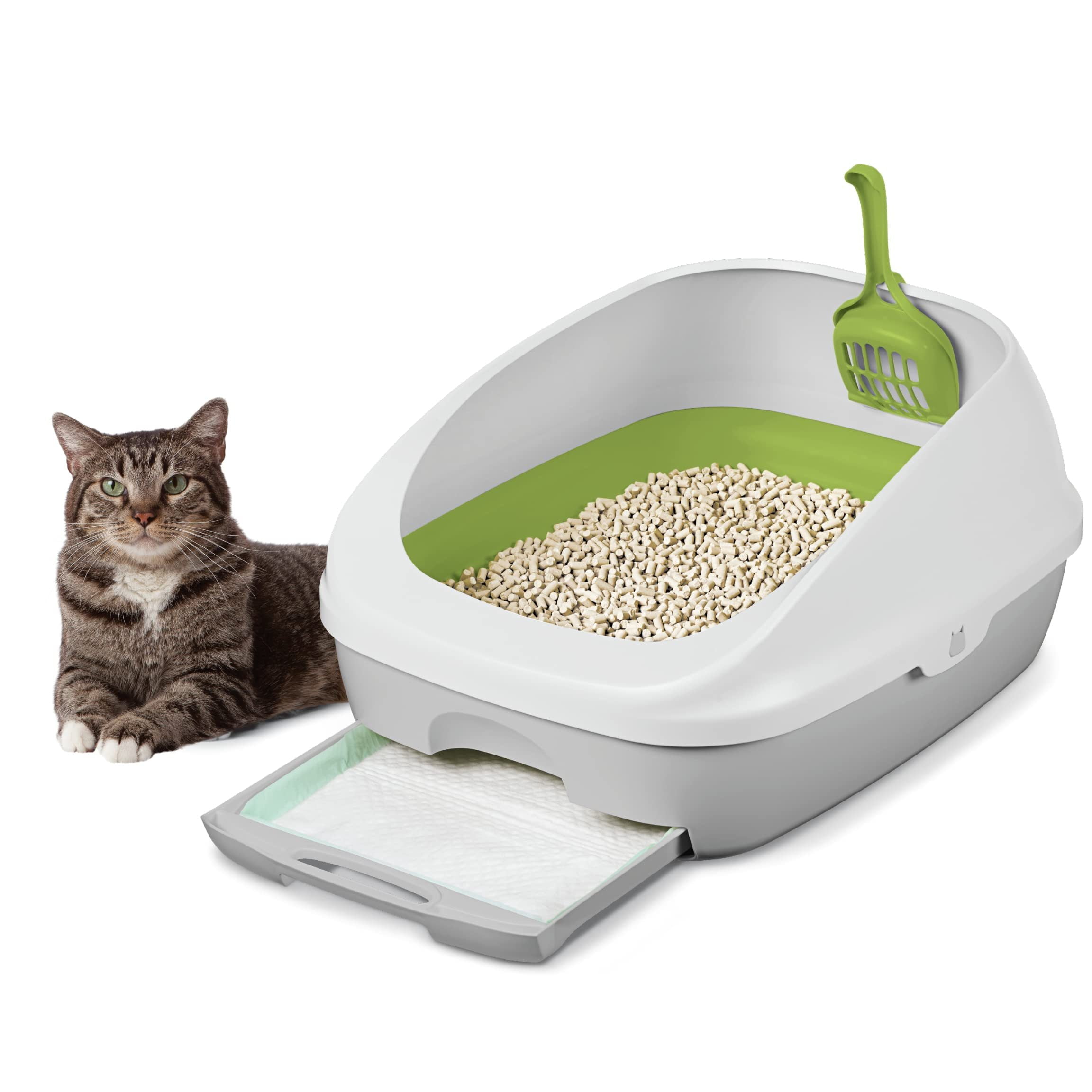 Litter-Robot: Self-cleaning cat litter box. Litter is sifted automatically once a cat leaves the unit.