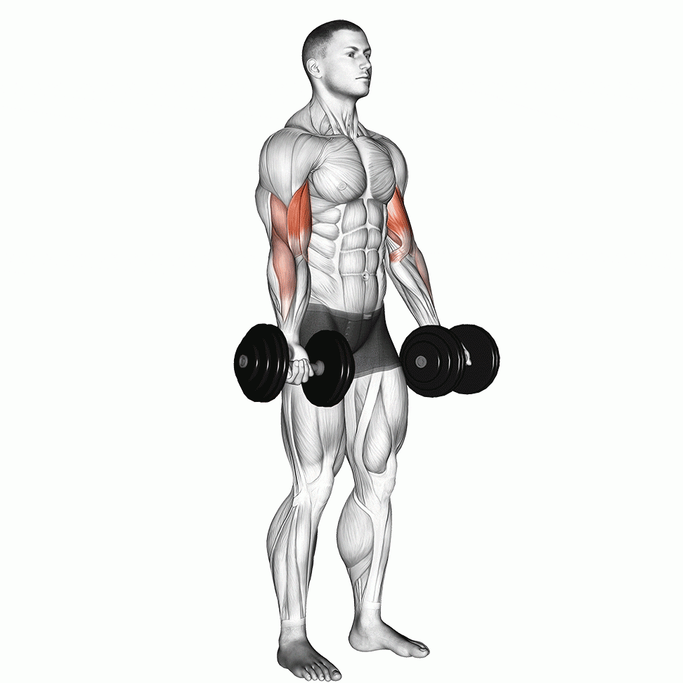 Weighted calisthenics: Series of exercises using weights that would typically rely on bodyweight alone.