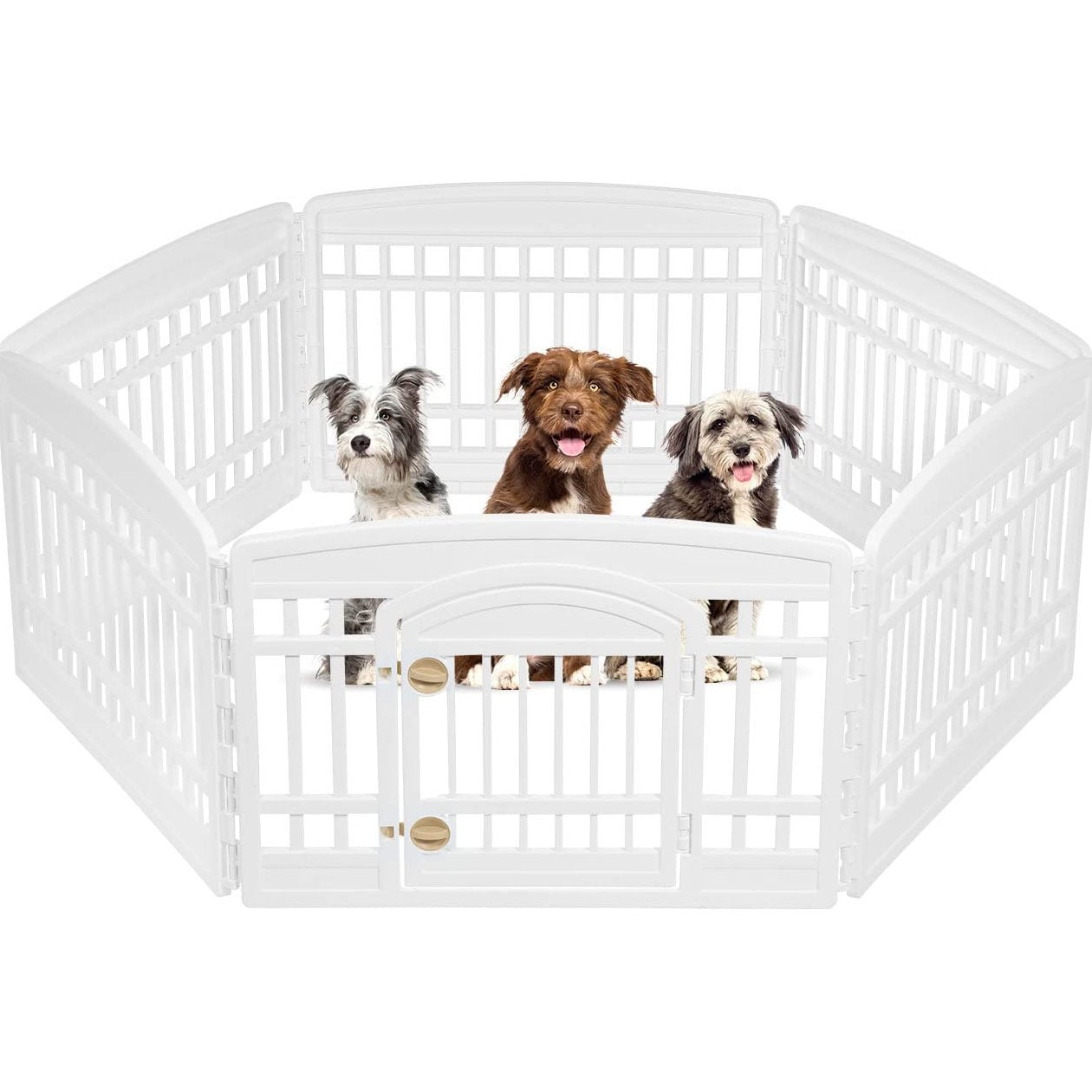 Dog Playpen