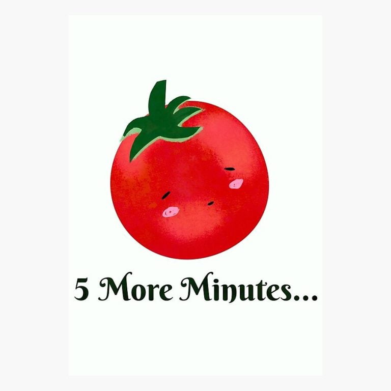 Pomodoro Technique: Time management technique that breaks tasks down into short time chunks, typically 25 minutes, with small breaks between each section.