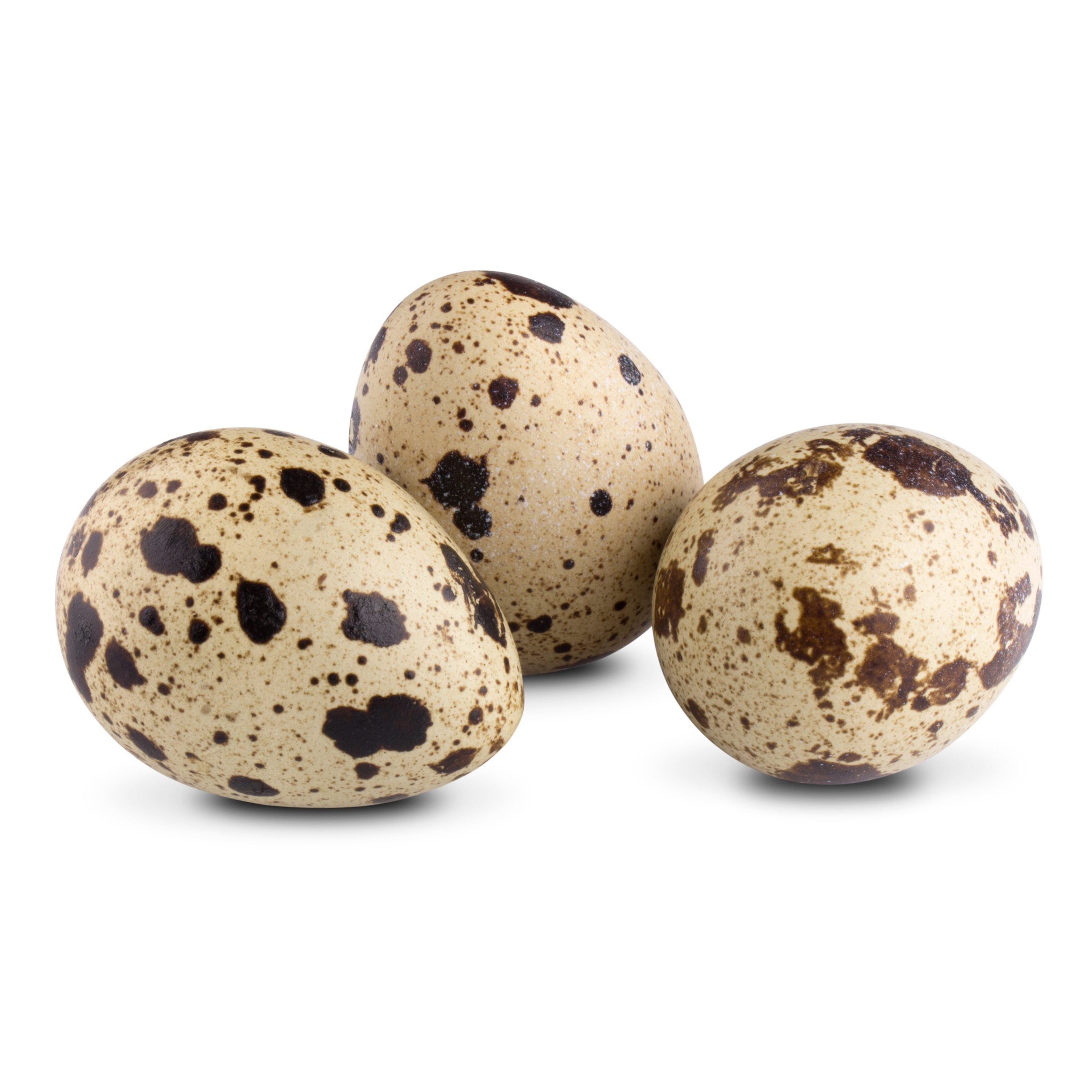 Quail eggs: A small egg produced by the quail bird that can be consumed.