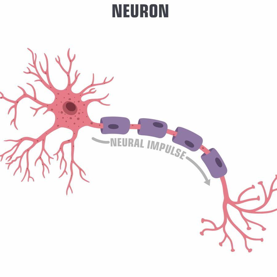 Neuropathic Pain: Physical pain not caused by tramua, but from damage or atrophy of the nervous system.