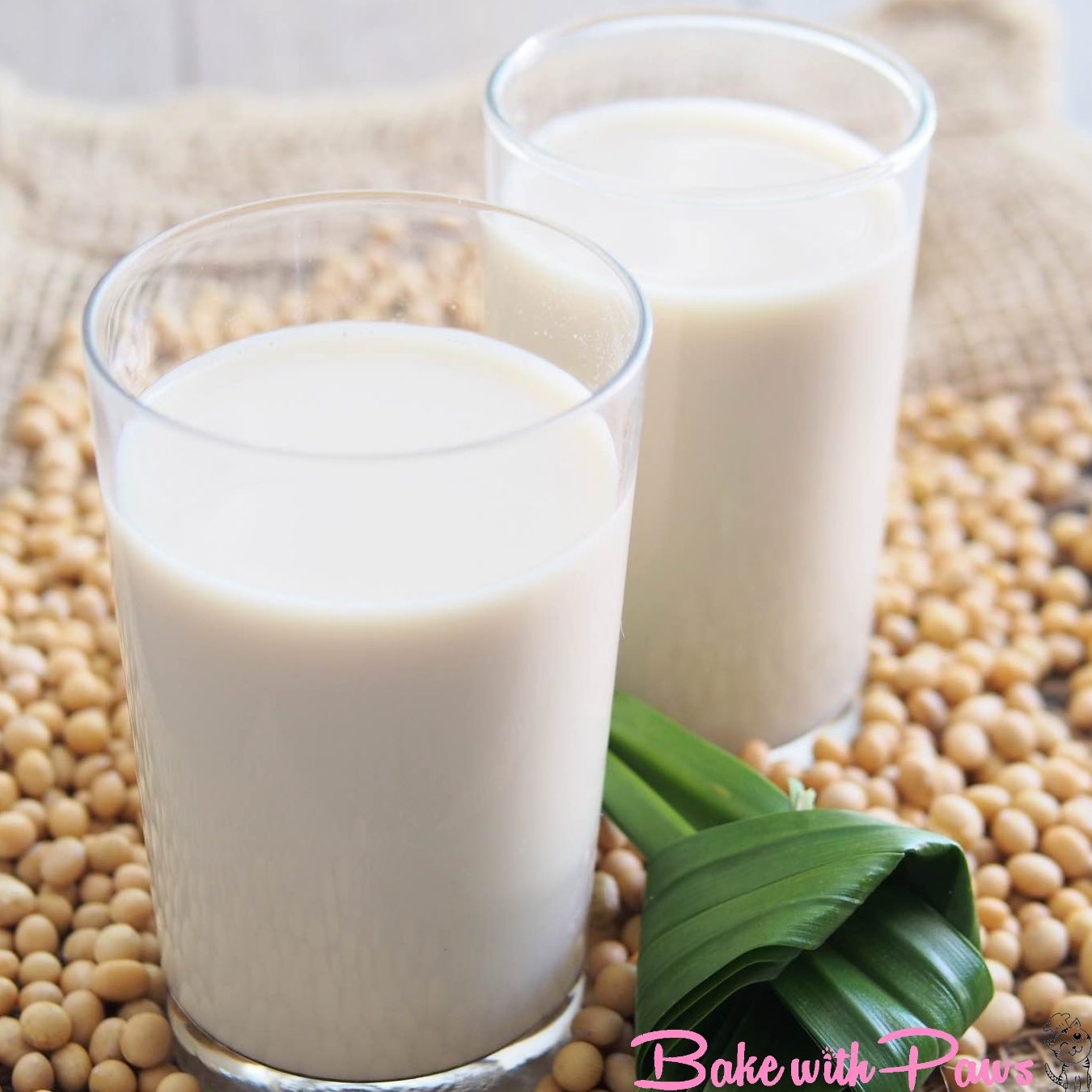 Okara: Soy pulp that is derived from soybeans and mixed with milk and tofu, typically used in Asian dishes.