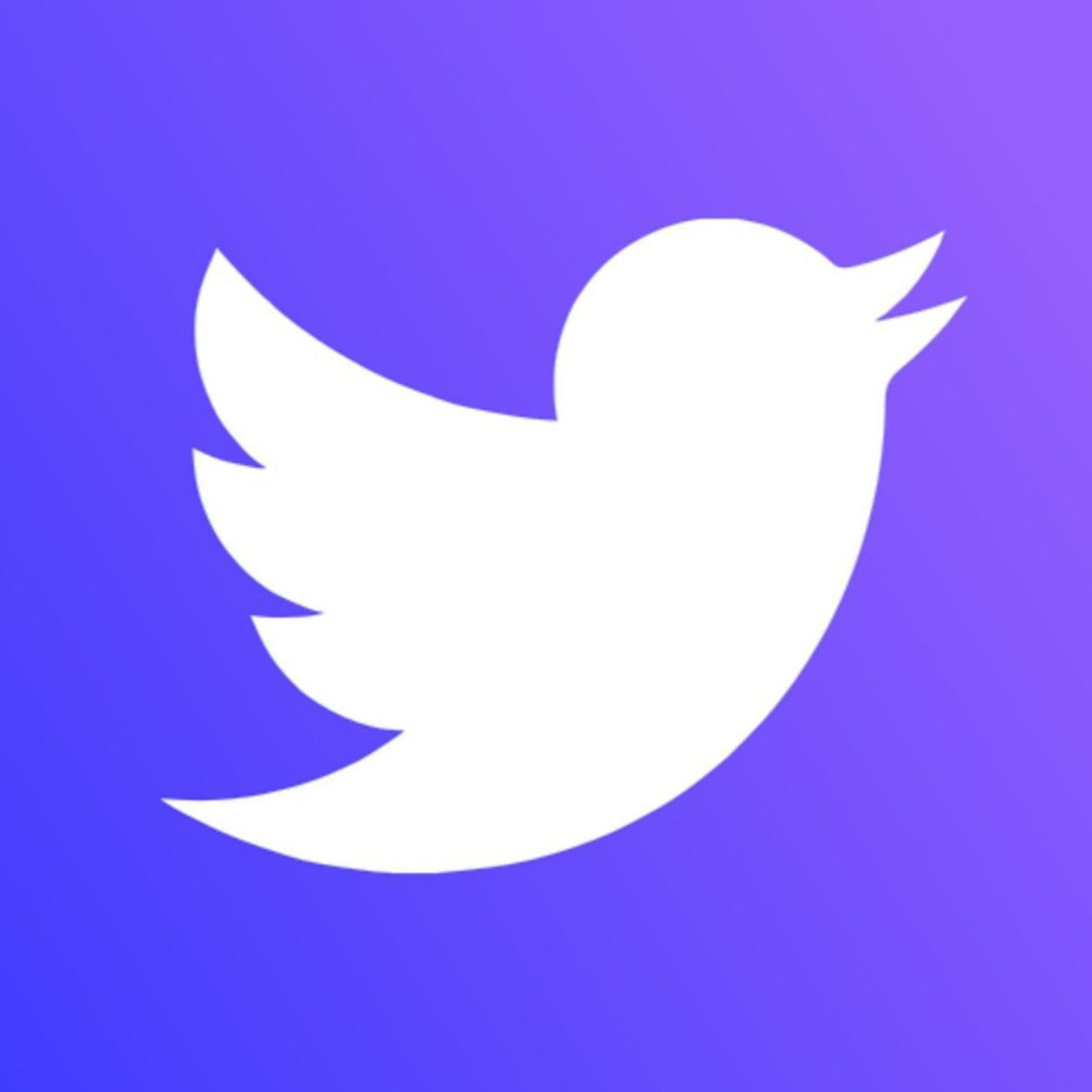 Twitter Spaces: Twitter feature permitting users to have live audio conversations.